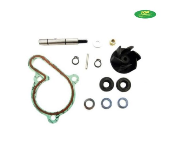 Kit ReparaciÓn Bomba Agua Euro Top