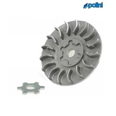 Semipolea Variador Polini Minarelli