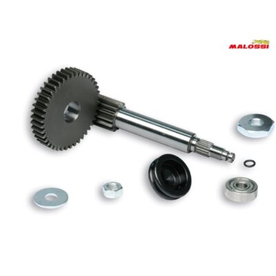 Transmisión Primaria Malossi 14 42 Minarelli Horizontal