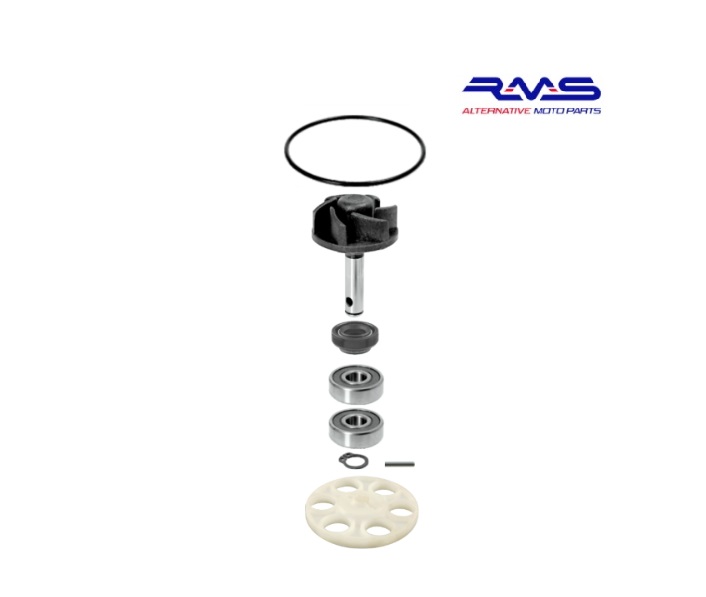 Kit ReparaciÓn Bomba Agua Minarelli Horizontal Rms