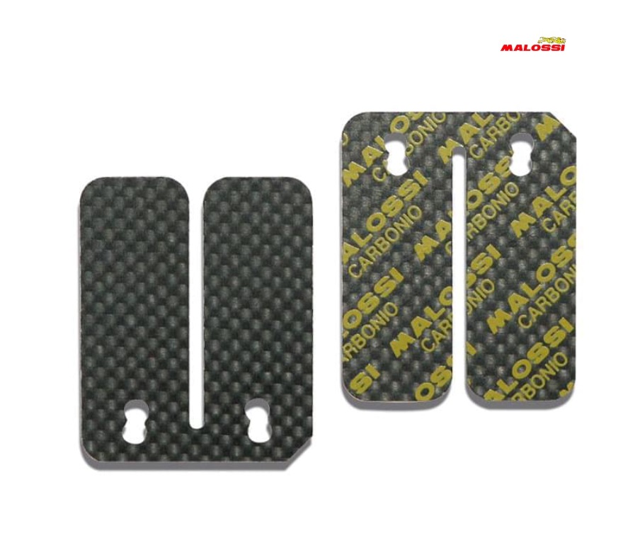 LÁminas Malossi Minarelli Horizontal Karbonit