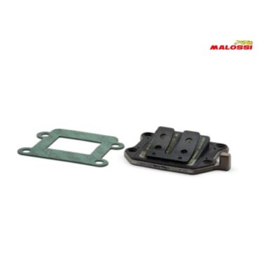 Caja LÁminas Malossi Carbono Minarelli Vertical